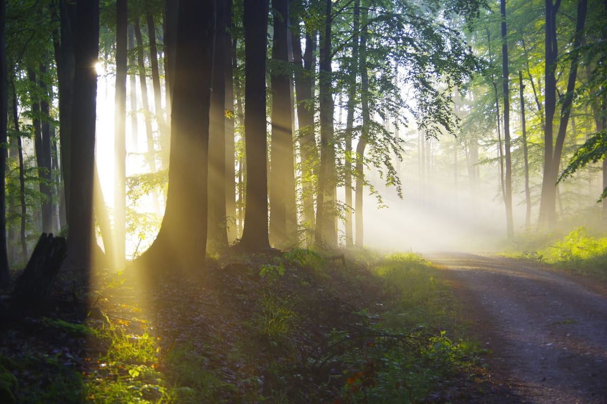 Spaziergänge an der frischen Luft